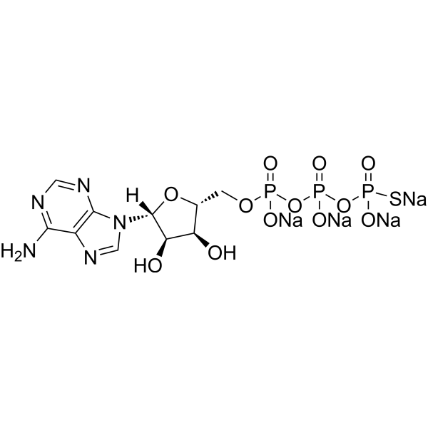 ATP-γ-S tetrasodium 88453-52-5